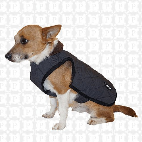Pawberry Classic Dog Coat with Built in Harness S 31 CM GREY - PawsPlanet Australia