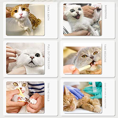 [Australia] - Fanme Anti-Scratch Boots Silicone Cat Shoes Boots Rubber Nail Cover Precaution Scratch Gloves Cat Paw Protector Pet Grooming Scratching Booties for Home Bathing Shaving Checking Treatment 