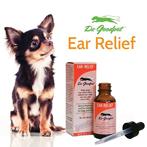 Dr. Goodpet Homeopathic Ear Health Formula for Dogs & Cats, Small - PawsPlanet Australia