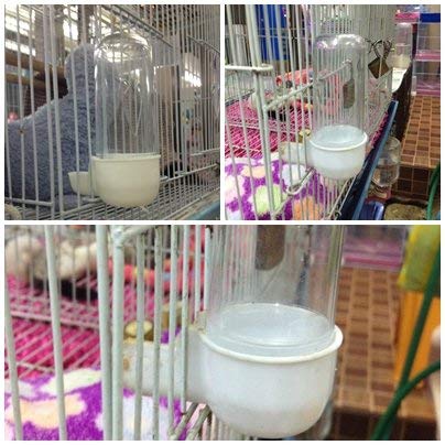 Power of Dream Plastic Bird Canary Budgie Cockatiel Seed and Water Feeder Dispenser Transparent - PawsPlanet Australia
