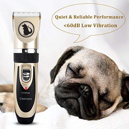Ceenwes Dog Clippers Low Noise Pet Clippers Rechargeable Dog Trimmer Cordless Pet Grooming Tool Professional Dog Hair Trimmer with Comb Guides Scissors Nail Kits for Dogs Cats & Other(Gold) Gold - PawsPlanet Australia