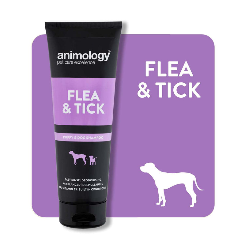 Animology Flea and Tick Shampoo For Puppies and Dogs | Medicated Tea Tree Scent | Built In Conditioner | Added Pro-Vitamin B5 | PH Balanced | Soothes Irritated Bitten skin | 250ml Pack 250 ml - PawsPlanet Australia