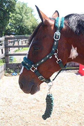 Equipride Horse Print Faux Lined Nylon Headcollars with Matching Lead Rope Green (Full) Full - PawsPlanet Australia