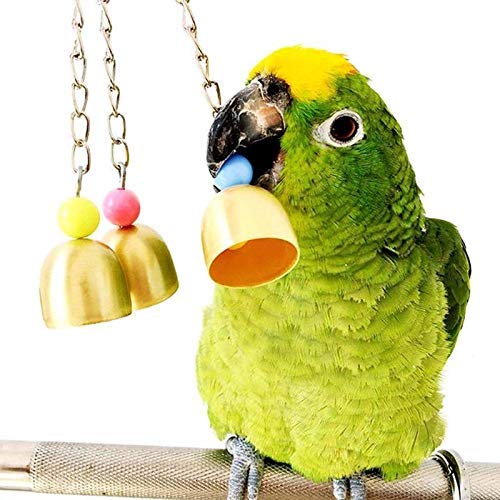 HIMM 7Pcs Parrot Toy Set Parrot Rope Toy Climb Toy Parrot Hanging Swing Toys Parrot Cuddly Toy Parrot Toy Set Including Wooden Ball Rotate Ladder,Bell Toy,Rope Toys,Swing Toys,Parrot Toy Bell - PawsPlanet Australia