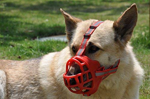 PETS EMPIRE Soft Silica Gel Dog Muzzles,Adjustable Anti Biting Chewing Barking Training Dog Muzzle 1 Piece (S (4 no), Green) S ( 4 no ) - PawsPlanet Australia