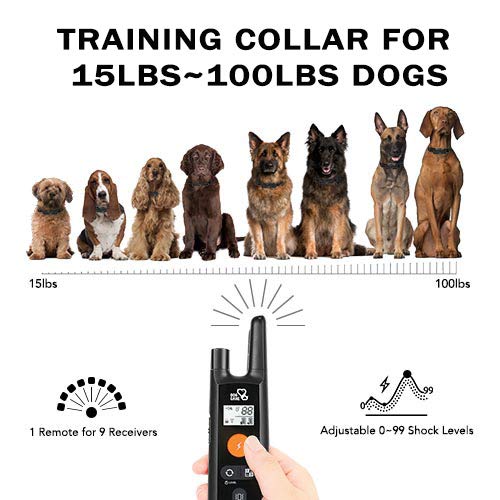 [Australia] - Dog Training Collar - Rechargeable Dog Shock Collar with Beep, Vibration and Shock Training Modes, Rainproof Training Collar, Long Remote Range, Adjustable Shock Levels Dog Training Set 