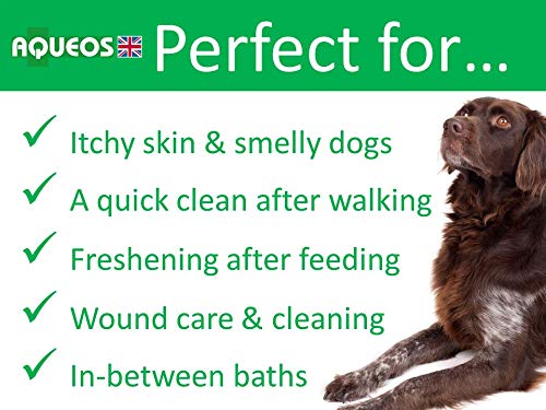 Aqueos Quick Wash No Rinse Dry Shampoo for Dogs | Antiviral, Antibacterial Waterless Shampoo | Deodorising & Disinfectant for Smelly Dogs | 200ml - PawsPlanet Australia