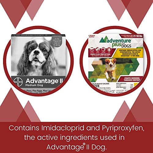 Adventure Plus Flea Prevention for Dogs, Topical Flea Treatment and Control (Small, Medium, Large, X-Large) - PawsPlanet Australia