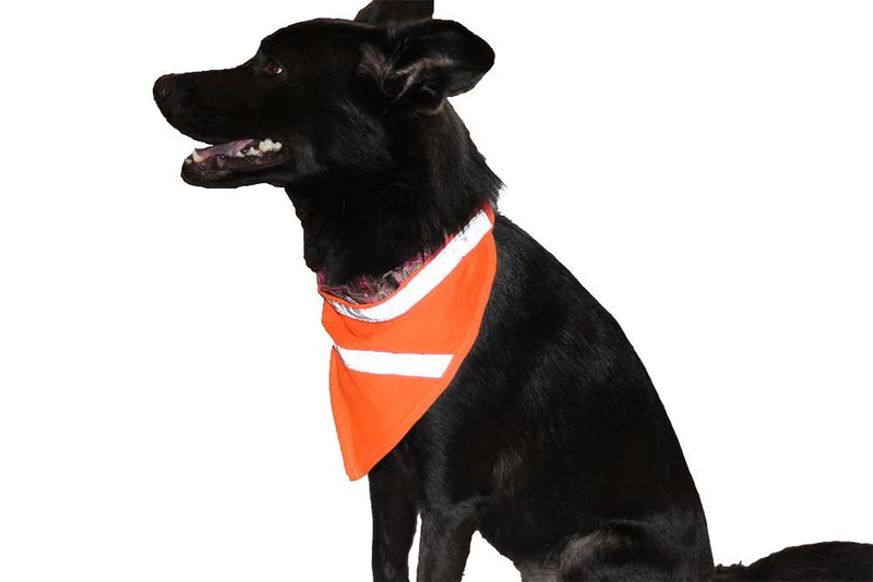 [Australia] - Dog Reflective Bandana - DeedlPet, Walk Your Dog Safely in Blaze Orange Gear with Bright White Stripes, Visible at Night for Your Dog's Protection, Easy to Use, Comfortable Medium 