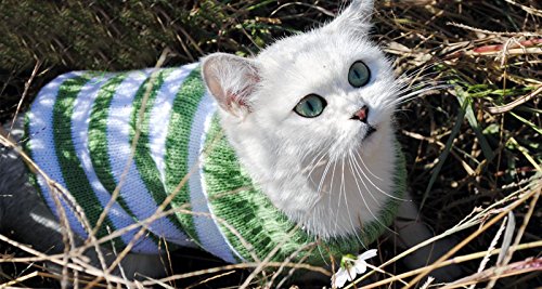 [Australia] - Evursua Striped Cat Sweaters Kitty Sweater for Cats Knitwear,Small Dogs Kitten Clothes Male and Female,High Stretch,Soft,Warm XS Green 