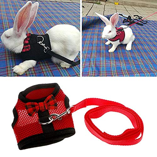Tineer Rabbit Harness with Lead Leash Set - Soft Breathable Mesh Pet Chest Harness Vest Walking for Kittens,Bunny,Hamster,Guinea Pig,Ferret and Other Small Animals (S, Red + Black) S - PawsPlanet Australia