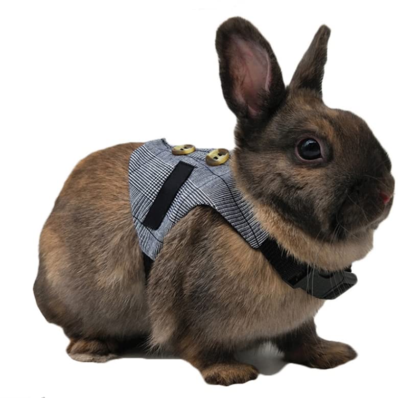 Tnfeeon Rabbit Soft Breathable Harness with Leash, Pet Rabbit Small Animal Walking Harness Vest Lead Lead (S) S - PawsPlanet Australia