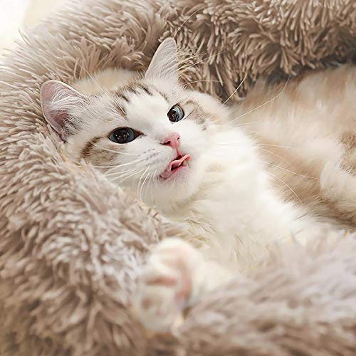 [Australia] - Love's cabin Cat Beds for Indoor Cats - Cat Bed with Machine Washable, Waterproof Bottom - Fluffy Dog and Cat Calming Cushion Bed for Joint-Relief and Sleep Improvement 20" Beige Taupe 