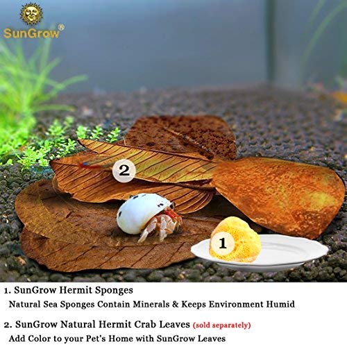 [Australia] - Luffy SunGrow Hermit Crab Sea Sponges, 2 Inches, Promote Healthy Shell Development, Assists in Drinking, Moisture Cocoon to Keep Crabs Moist and Hydrated, 4 Pack 