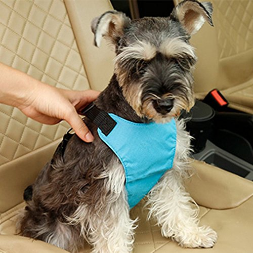 [Australia] - Tromy Pet Automotive Harness Dog Vehicle Seat Belt Harness 5 Colors 3 Sizes M Blue 