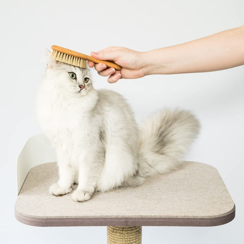 LucyBalu® cat brush for short hair & long hair | Fur brush for cats| Cat comb for grooming cats | Pet Hair Brush for Cats| Cat hair brush with natural bristles & wooden handle | oiled nature - PawsPlanet Australia