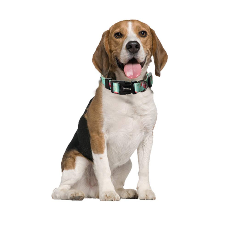 [Australia] - Ihoming Dog Collar and Leash Combo in Bohemia, Morocco, Floral and Dot Style Fit Small, Medium and Large Pet S-Up to 20 LBS Floral-Spring 