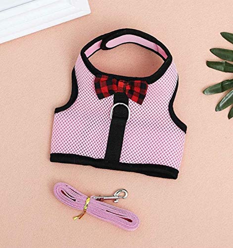 [Australia] - sonicbee Multipurpose Rabbits Hamster Vest Harness with Leash Bunny Mesh Chest Strap Harnesses Ferret Guinea Pig Small Animals Pet Accessories L:Neck 11.38-13.96"，Chest 13.78-15.75" Blue 