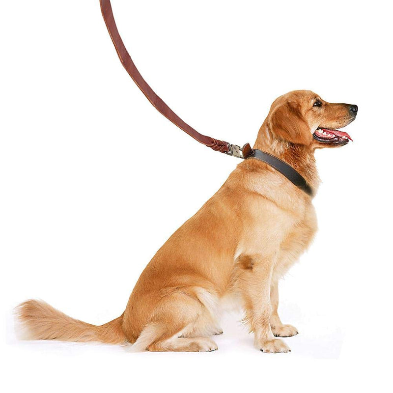 Leather Dog Leash Dog Lead Leather Leash Dog Soft Leather Dog Collar & Leash in Braided Dog Training Leash 2.5cm Wide Pet Chain (2.5 x 150cm) 2.5 x 150cm - PawsPlanet Australia