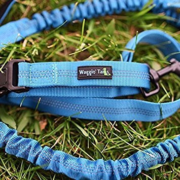[Australia] - Wagtime Club Hands Free Bungee Dog Leash - Smart 3-in-1 Design For Running, Hiking, or Walking with Durable Dual Handles, SmartPhone Pouch, Reflective Stitching, 4FT Length for Medium to XLarge Dogs - 