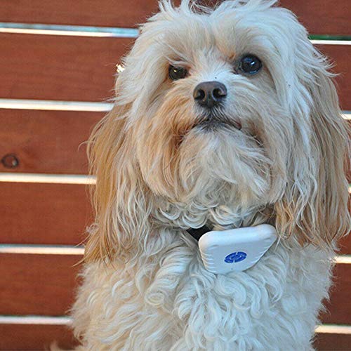 [Australia] - Winvin Anti Barking Device, Safe Pet Bark Control Device, Ultrasonic Anti No Shock Bark Collar Barking Pet Dog Training Control Collar 