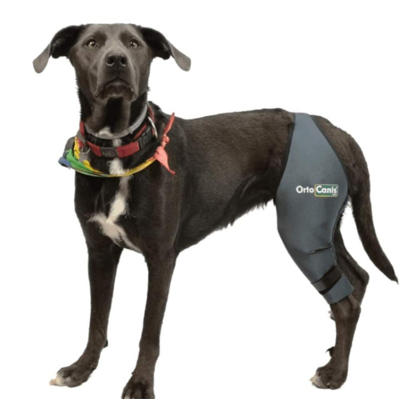 Ortocanis Original Knee Brace for Dogs with ACL, Knee Cap Dislocation, Arthritis - Keeps The Joint Warm - Reduces Pain and Inflammation - 9 Sizes for Left or Right Leg (XXXS - Right) XXXS / Right - PawsPlanet Australia