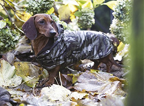 Croci C7274456 Jacket for Dogs Specific Fitting for Dachshunds and Basset Hound, 34 cm, Padded - PawsPlanet Australia