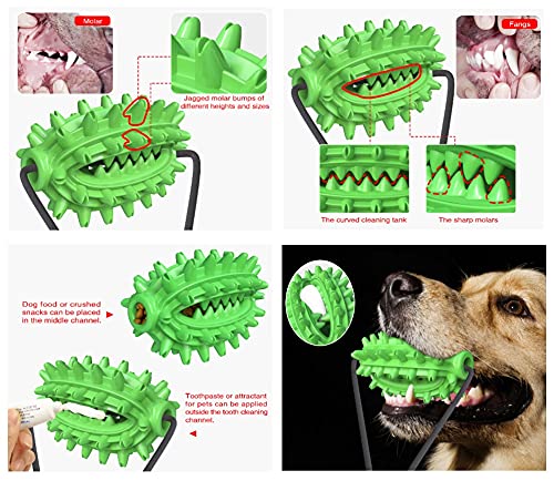 Hallwayee Dog Double Suction Cups Chew Toys Indoor Powerful Tether Ball with Elastic Rope Toy Dog Food Dispensing Toys Molar Bite Squeaky Toys Water Floating Ball Toys Green Cactus - PawsPlanet Australia
