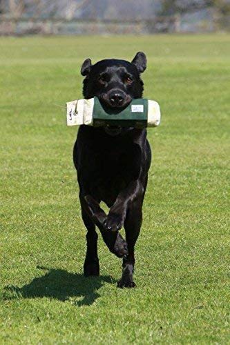 The Lez Graham Retrieving Roll - PawsPlanet Australia