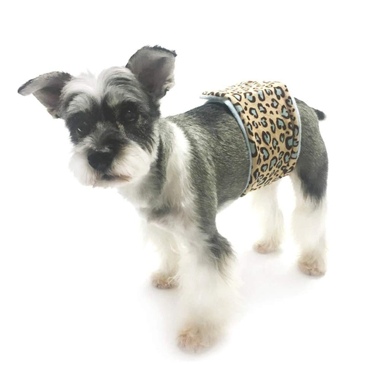 CocoTherapy Wild Child Leopard Male Dog Belly Band, Secures Diapers for Incontinence and Marking XS - PawsPlanet Australia