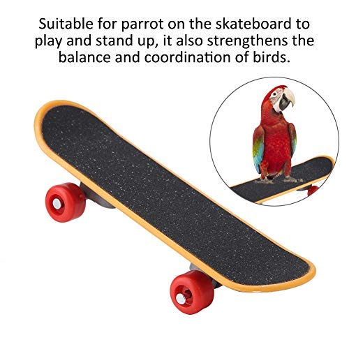 Parrot Skateboard Toys, Pet Bird Funny Training Playing Interactive Toy Birds Standing Perch Cockatiels Educational Stand Toys for Birds Parrots Small Conures - PawsPlanet Australia