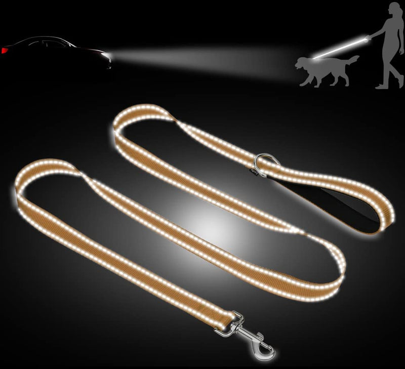 Taglory Dog Leash Small Dogs Lightweight | Double-sided reflective | Padded handle | Up to 10kg | 1.8mx 2cm | Brown 1.8 mx 2.0 cm (pack of 1) - PawsPlanet Australia
