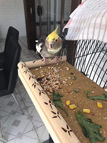 IW Designs Bird platform perch shelf stand cage accessory! Pine doweling wood perimeter! For cockatiels, budgies, parrotlets, canaries! Strong, built to last! Aesthetic look! Excellent gift! - PawsPlanet Australia