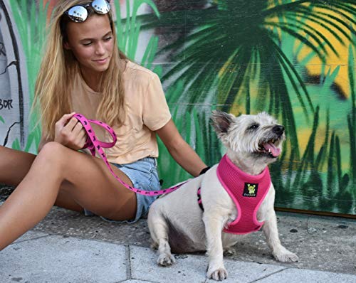 [Australia] - EcoBark Classic Dog Harness Soft Gentle No Pull & No Choke Dog Harnesses Double Padded Halter Ultra Cushioned Walking Breathable Mesh Dog Vest for Puppies XS Small Medium Large Dogs in 10 Colors Medium (Neck 12 to 14 in) Pink 