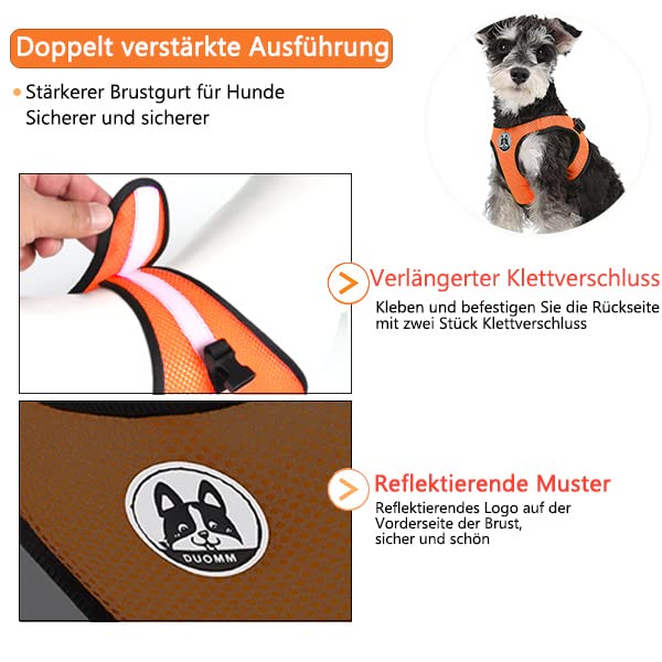 Lairle Small Dog Harness, Puppy Harness, Cat Harness, 3-Pack Dog Harness No Pull Soft Mesh Dog Vest Hanress with Leash Set for Small Dogs Cats SC - PawsPlanet Australia
