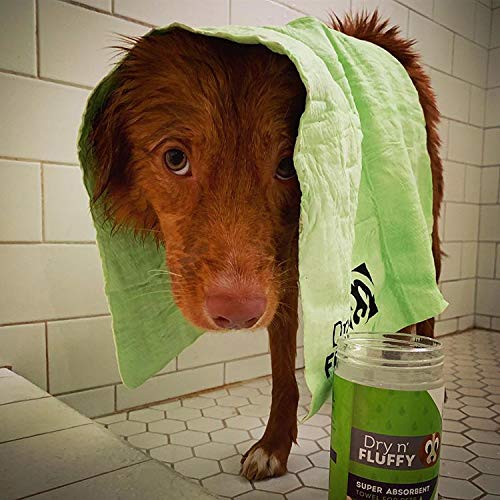 [Australia] - Dry n Fluffy Super Absorbent Towel for Pets Green 