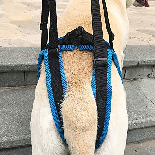 [Australia] - Uheng Pet Dog Canine Sling Dog Lift Harness - Dog Leg Brace Adjustable Straps for Hind Back Leg - Help Em Up Support Balance Harness for Large Arthritis Rehabilitation Dogs Breed S 