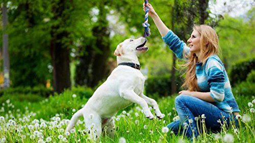 [Australia] - BUIBIIU Dog Toys Small Dog Chew Toys Dog Teething Toys Squeaky Toys Chihuahua Pomeranian Corgi and PoodlesToys 6 PCS blue, green, black 