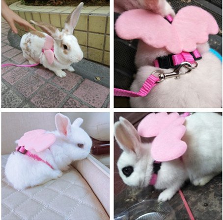 [Australia] - Rabbit Harness Adorable Angel Wings Leash Dog Cat Pet Vest Harness and Matching Leash Set Pink 