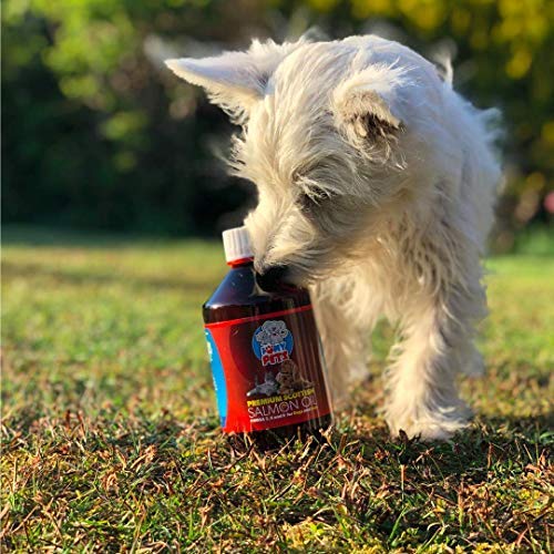 i love my pets SCOTTISH SALMON OIL 1 Litre For Dogs, Cats and Other Animals - 100% Natural Salmon Oil With Omega 3 & 6 - Helps Promote Healthy Skin, Coat, Joints and Brain Function. - PawsPlanet Australia