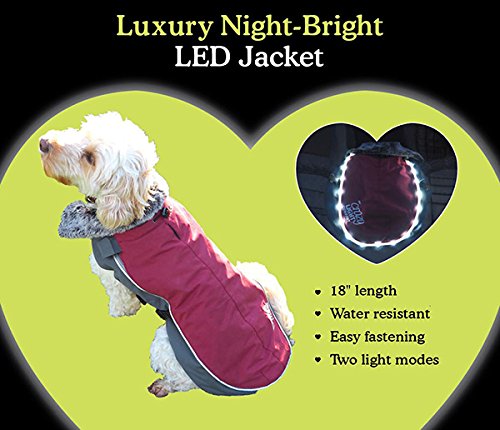 Rosewood Luxury Night-Bright LED Dog Jacket, 21-Inch - PawsPlanet Australia