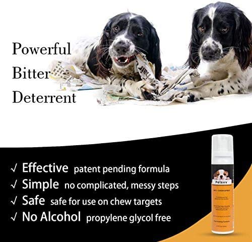 Dog Cat No Chew Spray Deterrent, Anti Chew Pet Training Corrector for Dogs, Non-Toxic, Alcohol Free - PawsPlanet Australia