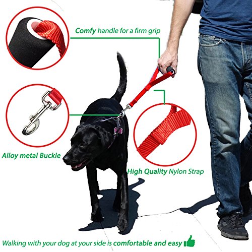 [Australia] - Short Dog Leash Nylon with Padded Triangle Traffic Handle 12 inch Perfect for Pulling Dogs Red Blue 