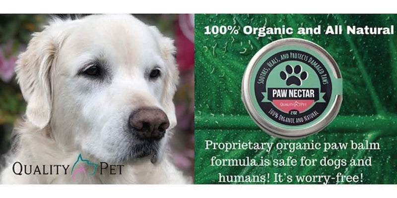 100% Organic and Natural Paw Wax Heals and Repairs Damaged Dog Paws, Dog Paw Balm - PawsPlanet Australia