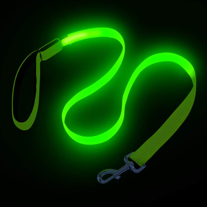 [Australia] - VIZPET LED Dog Leash - USB Light UP Rechargeable Nylon Dog Leash - 47.2 Inch with 3 Flash Modes and Metal Buckle - Keeps Your Dog Safe All The Time Neon Green 