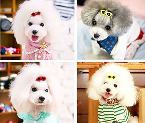 Carykon 20Pcs Dog Hair Clips Heart Sunglass Pet Hair Bows Alligator Hairpins Small Animal Hair Barrettes Pet Hair Accessories, Multicolor - PawsPlanet Australia