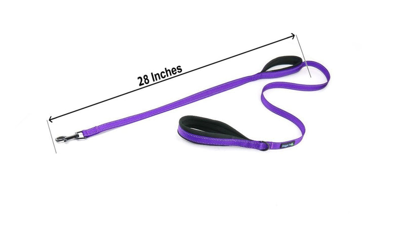 [Australia] - Waggin Tails Soft & Thick 5FT Double Handle Leash with Neoprene Padded Handle for Small to Medium Dog (Vibrant Purple) 