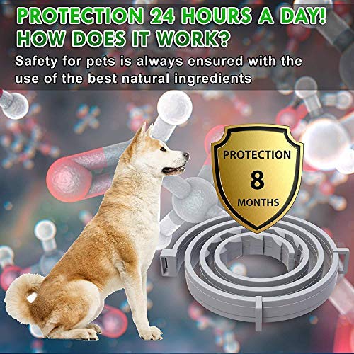 Flea and Tick Prevention Collar One Size Fits All Dogs and Cats Flea and Tick Control with Adjustable Design - PawsPlanet Australia