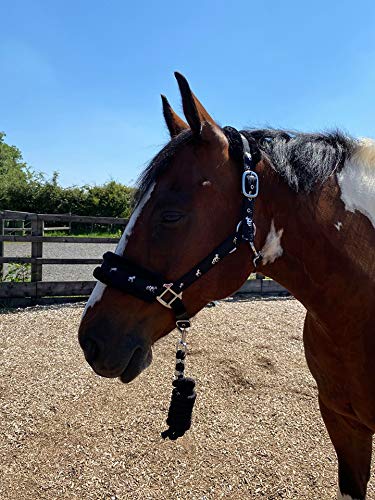 Equipride Horse Print Padded Nylon Headcollars with Matching Lead Rope Black (Small Pony) Small Pony - PawsPlanet Australia