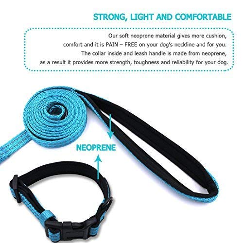 [Australia] - azuza Durable Padded Dog Leash and Collar Set, Reflective Strip Extra Safe and Comfy for Small to Large Dogs S (Neck: 11"-16") Vitality Blue 